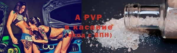 индика Абаза