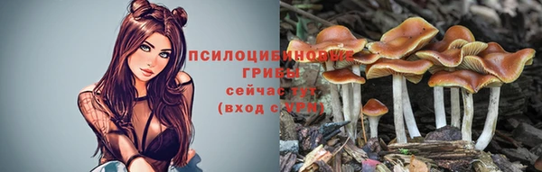 индика Абаза