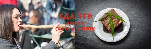 индика Абаза