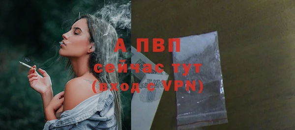 индика Абаза