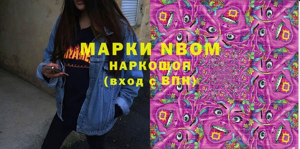 индика Абаза