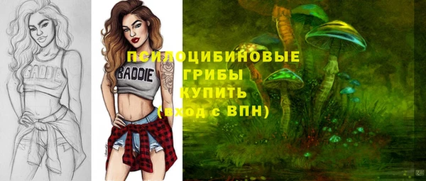 индика Абаза