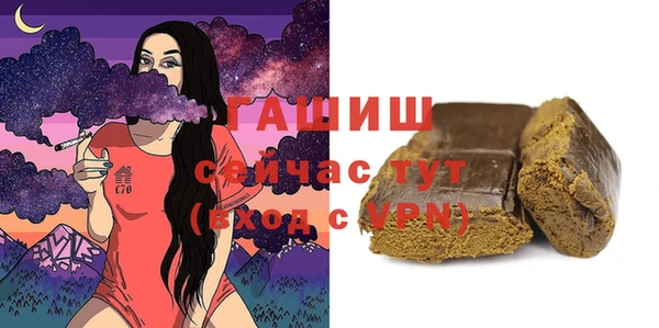 индика Абаза
