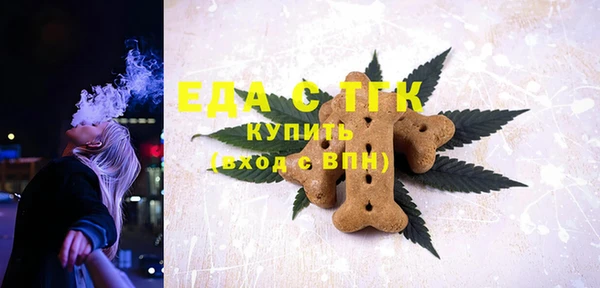 индика Абаза