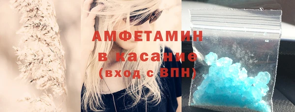 индика Абаза
