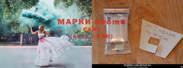 индика Абаза