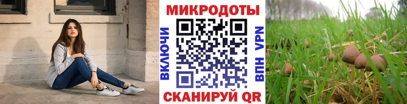 дарнет шоп  Ессентукская  Псилоцибиновые грибы прущие грибы 