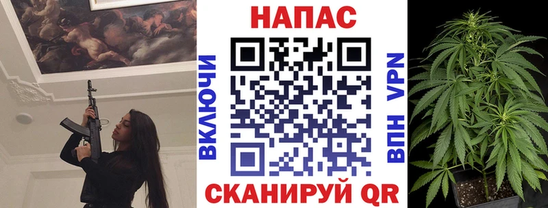 МАРИХУАНА конопля  Ессентукская 